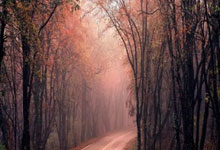 随着曼联5-2，热刺3-2，欧联杯8强全部出炉！穆里尼奥遗憾被淘汰.