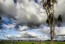 B体育官网：也不是坏事 76人战绩联盟第5差 很有机会保住今年的首轮.